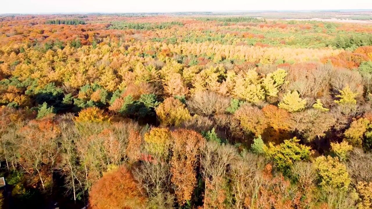 Video van Röntgenlaan 30