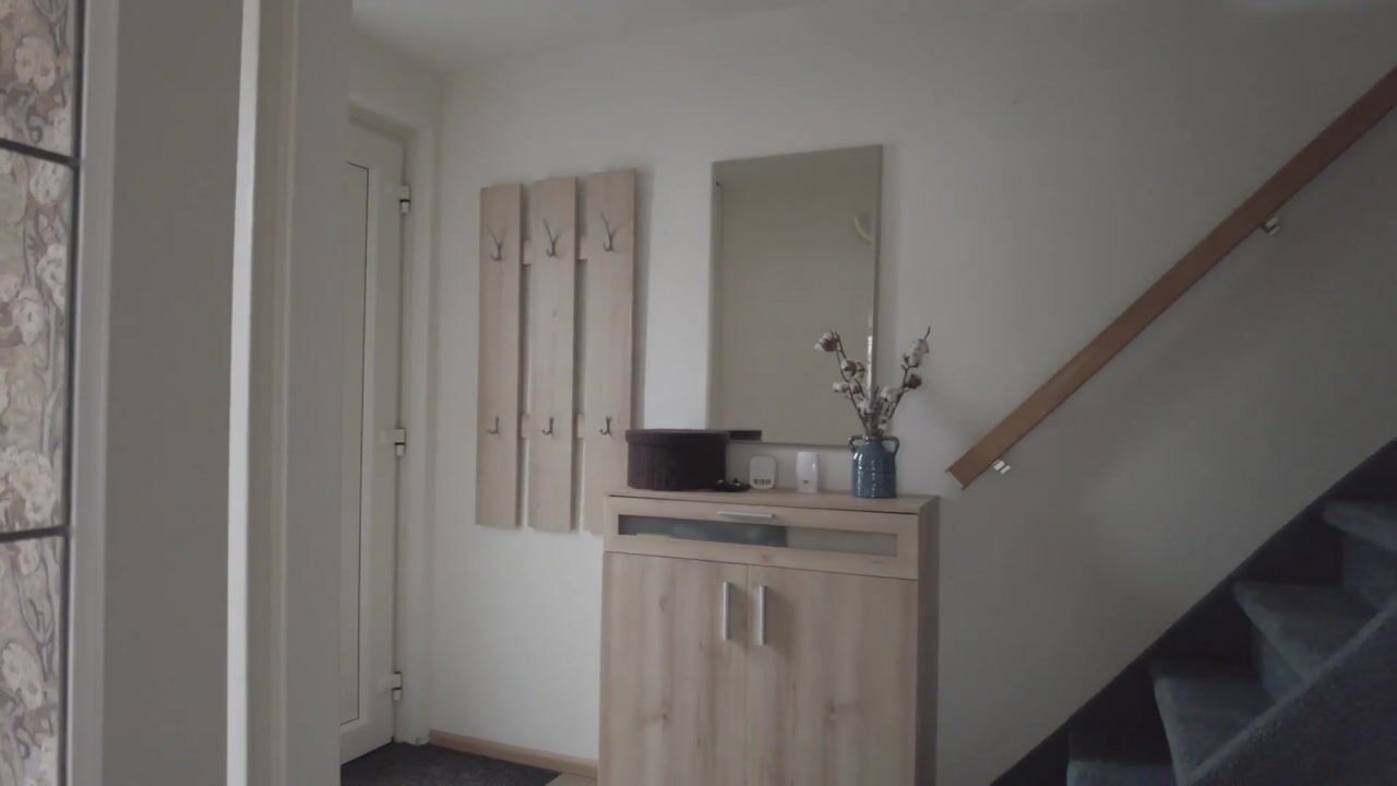 Video van Penningkruid 45