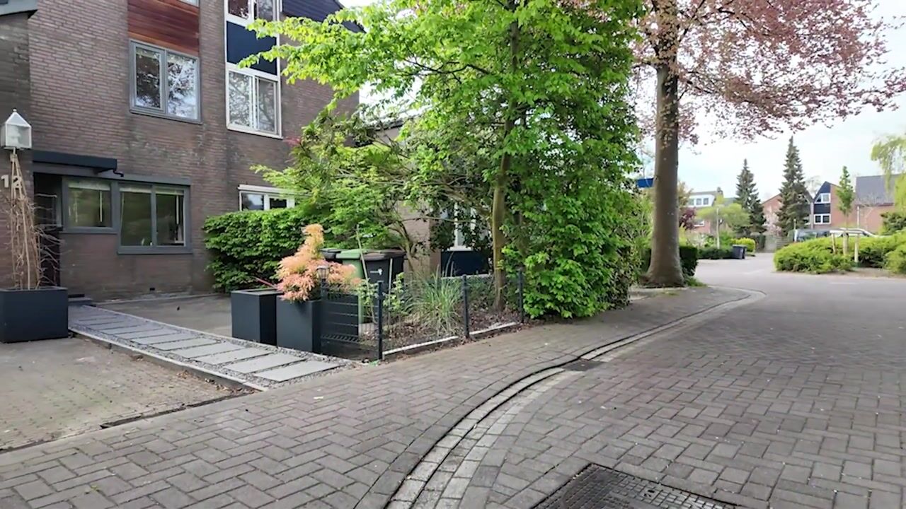 Video van Moerasvaren 12