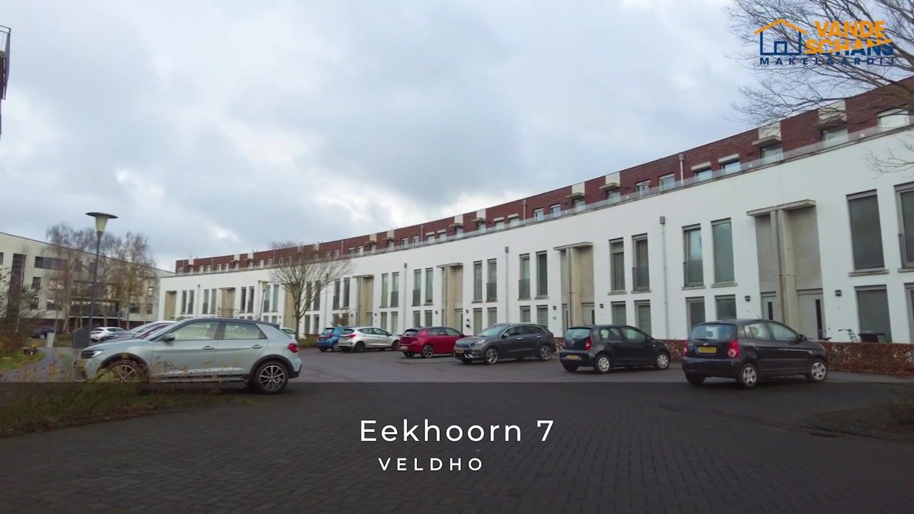 Bekijk video van Eekhoorn 7