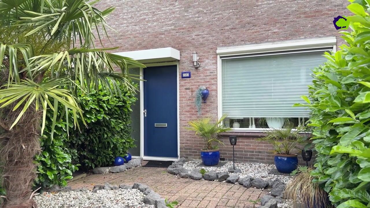 Video van Punterstraat 55