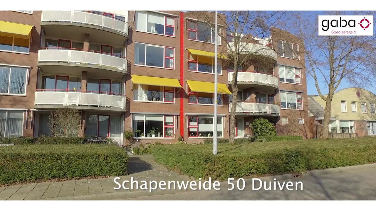 Video van Schapenweide 50