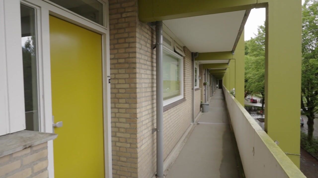 Video van Meijhorst 3131