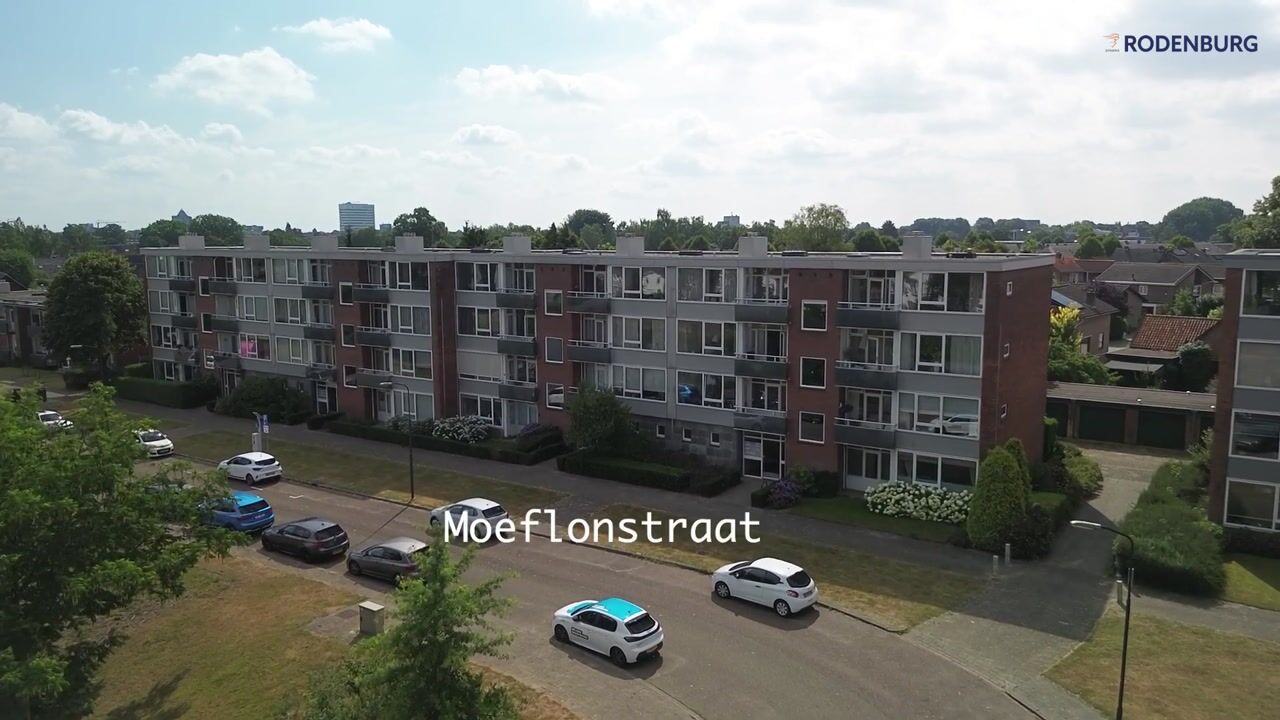 Video van Moeflonstraat 71