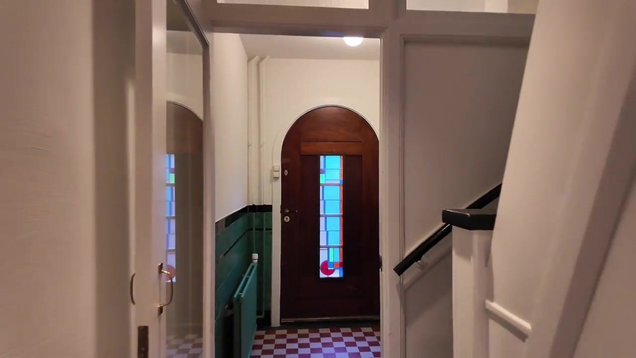 Video van Prof. Ritzema Boslaan 111