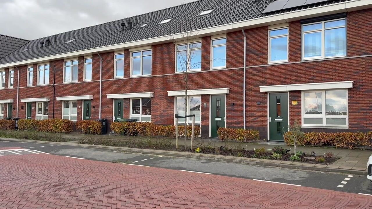 Video van Grote vos 45