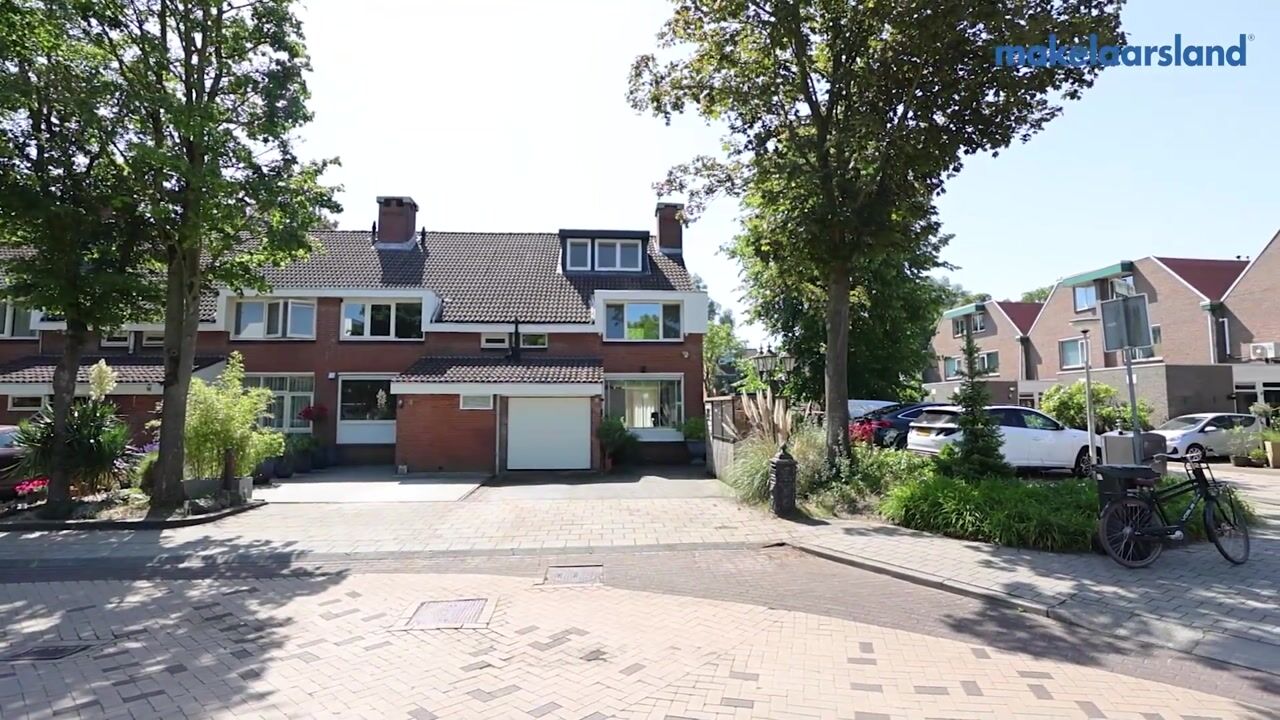 Video van Boschplaat 2