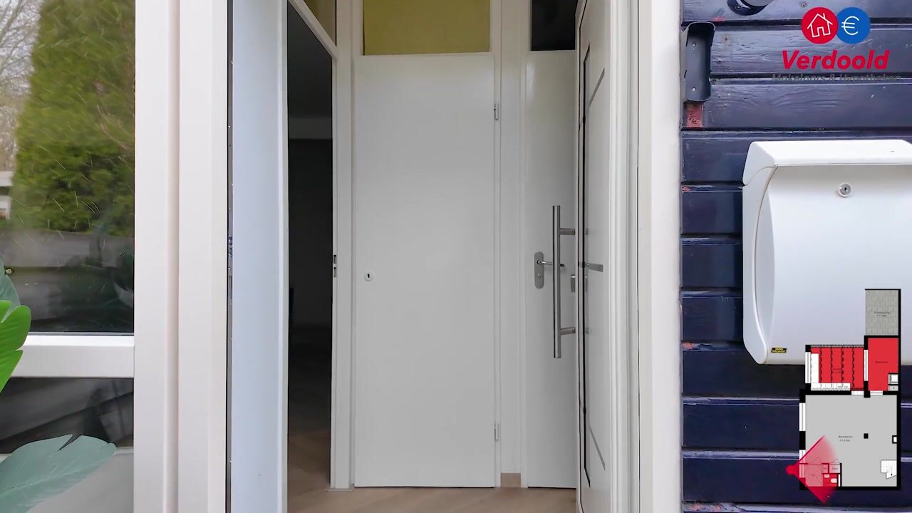 Video van Beukvaren 3