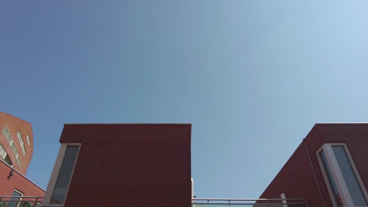 Video van Schout van Keppelpad 11