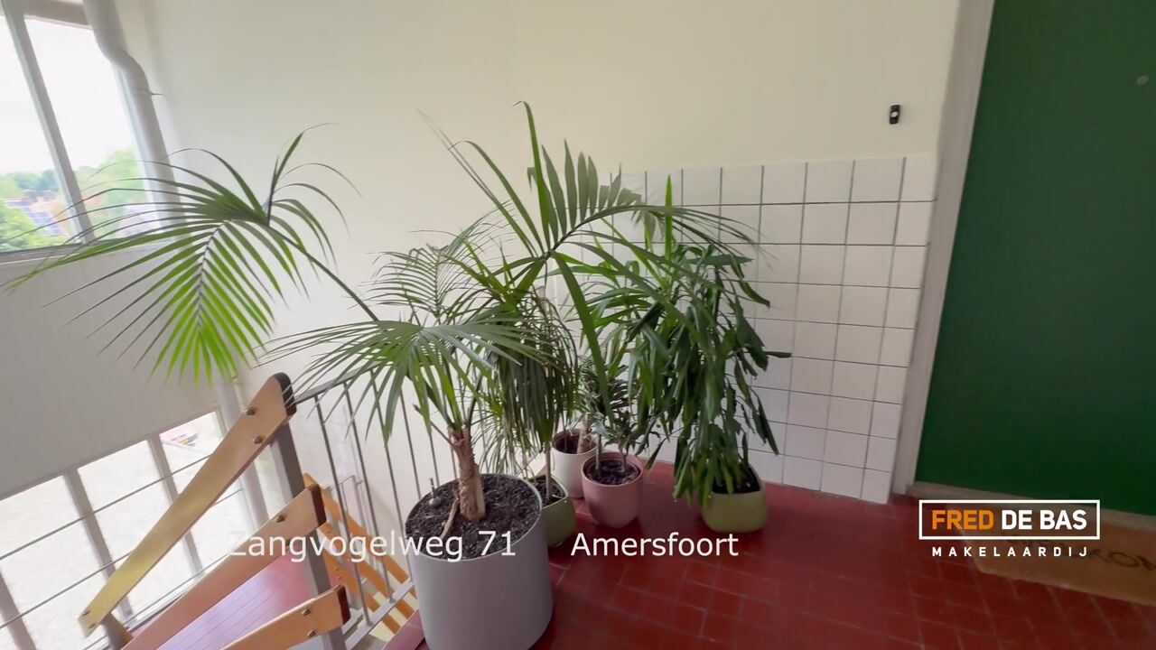 Video van Zangvogelweg 71