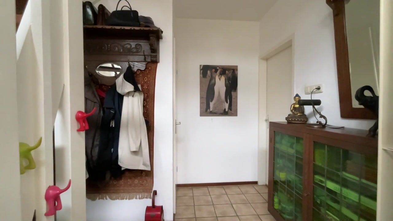 Video of Tuinfluiterstraat 113