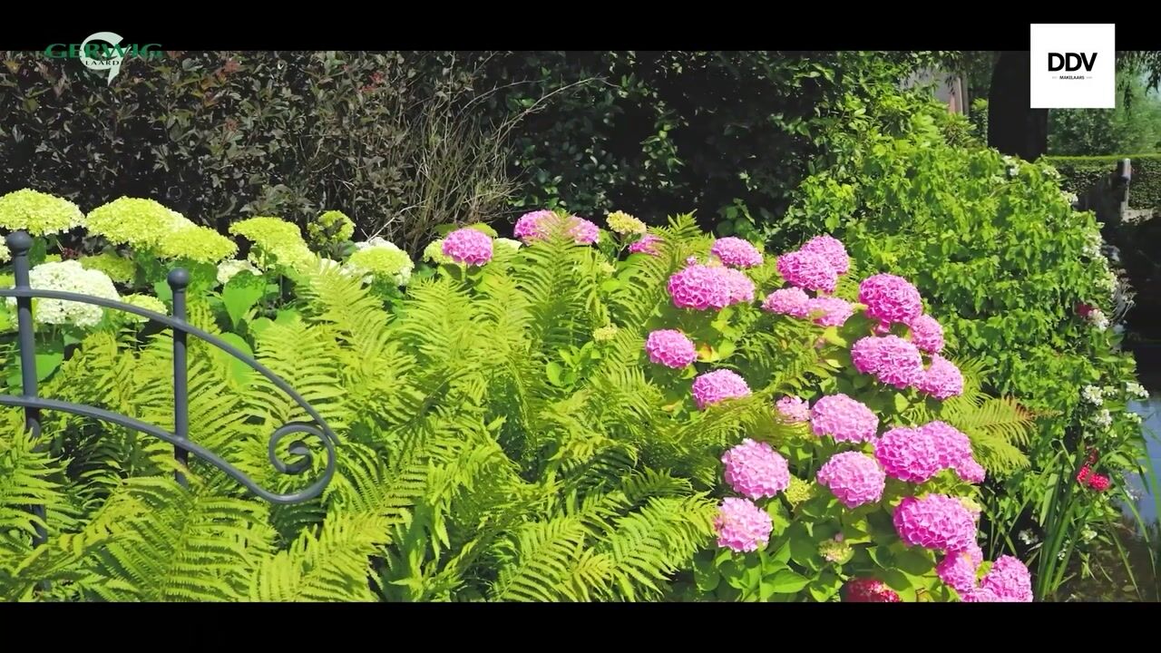 Video van Ruigenhoeksedijk 34