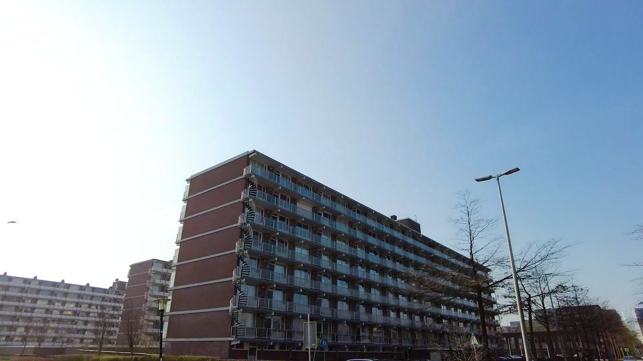 Video van Alkenoord 313