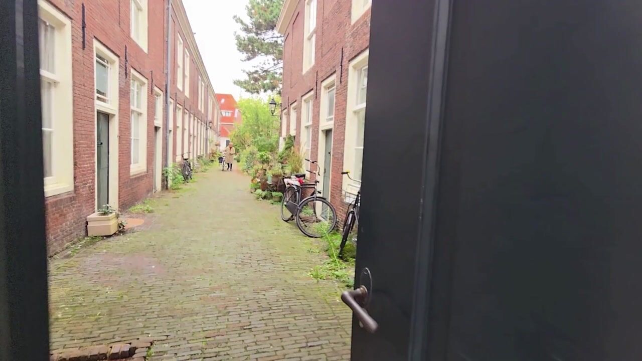 Video of Stevenshof 16