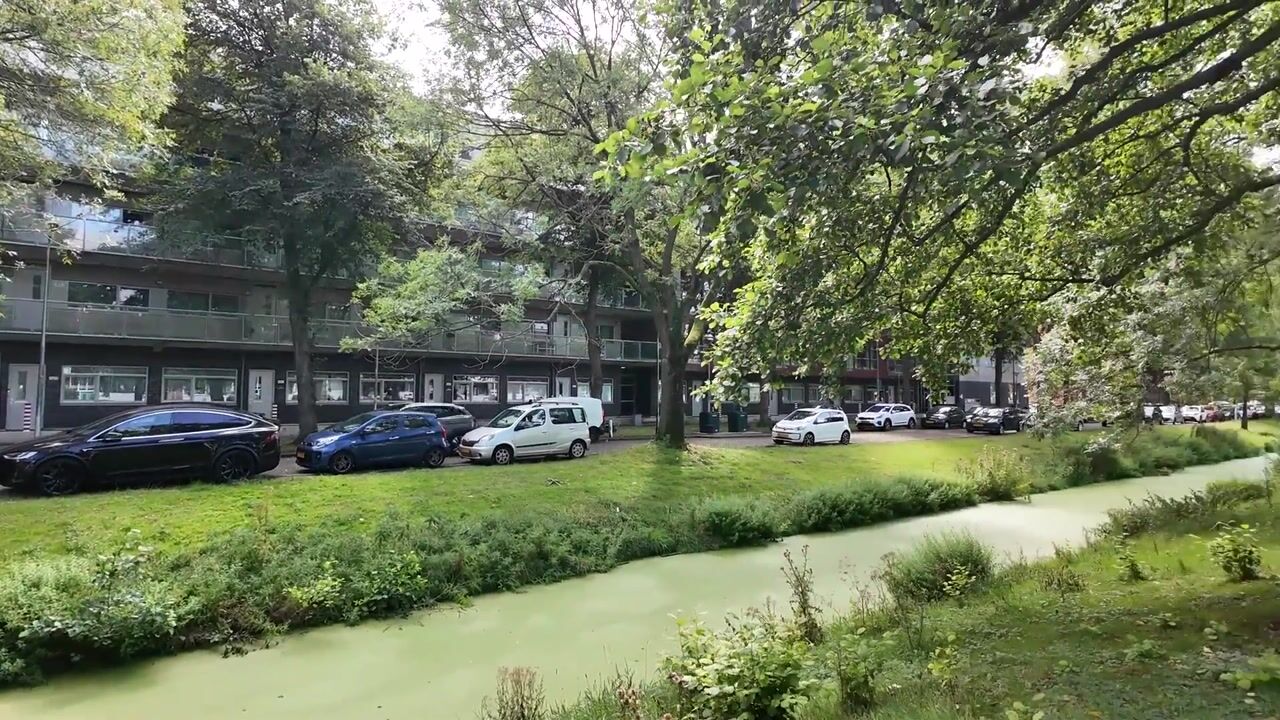 Video of Hengelolaan 460