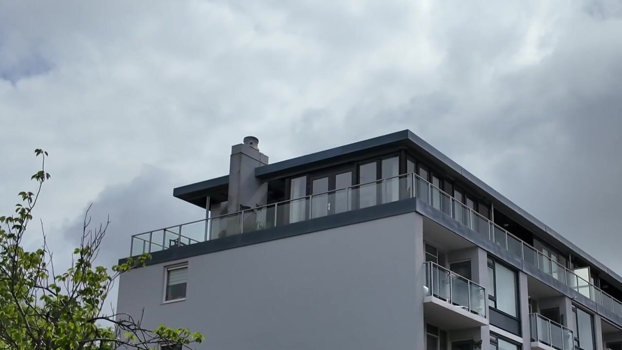 Video van Gele Kwikstaart 63
