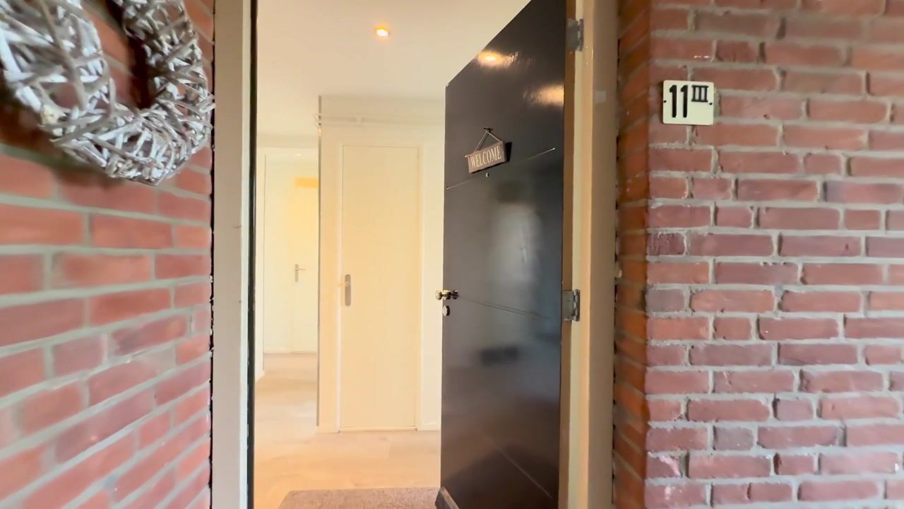 Video van de Engh 11-III