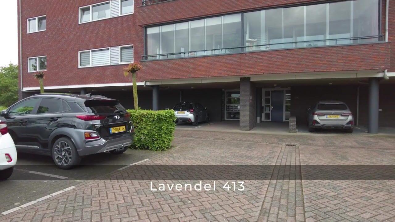 Video van Lavendel 413