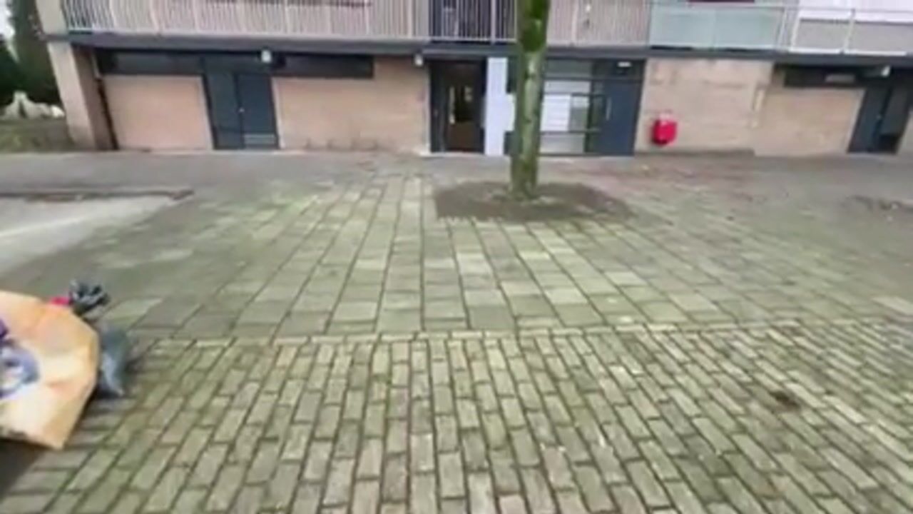 Video van Malvert 6939