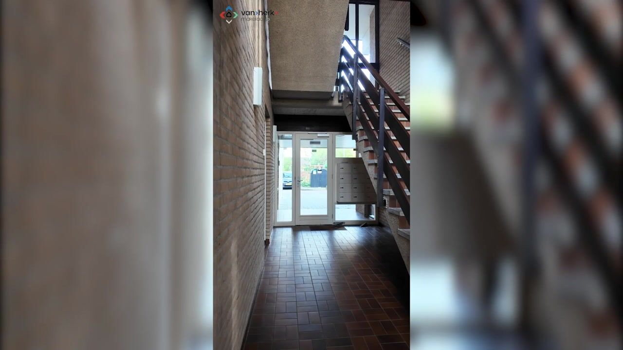 Video van Catsveld 56