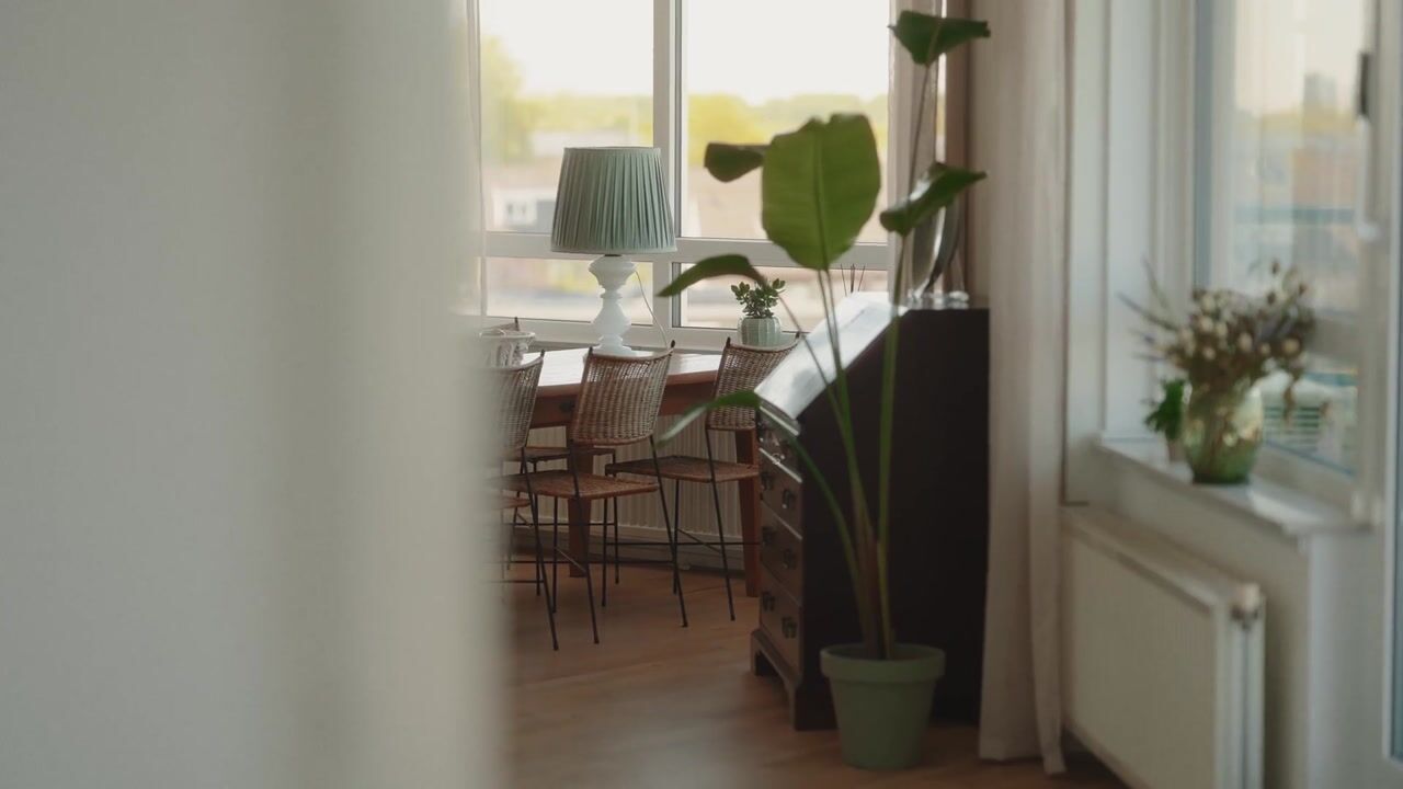 Video van Puccinistraat 162