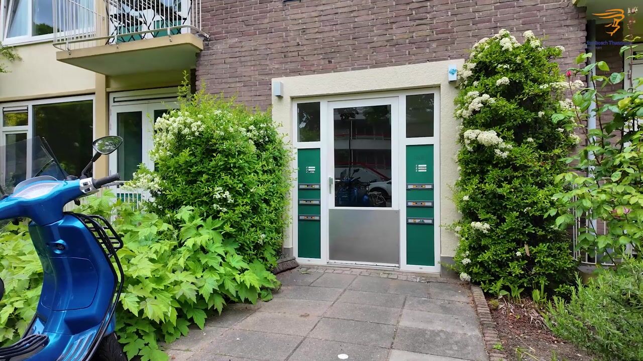 Video van Molukkenstraat 218