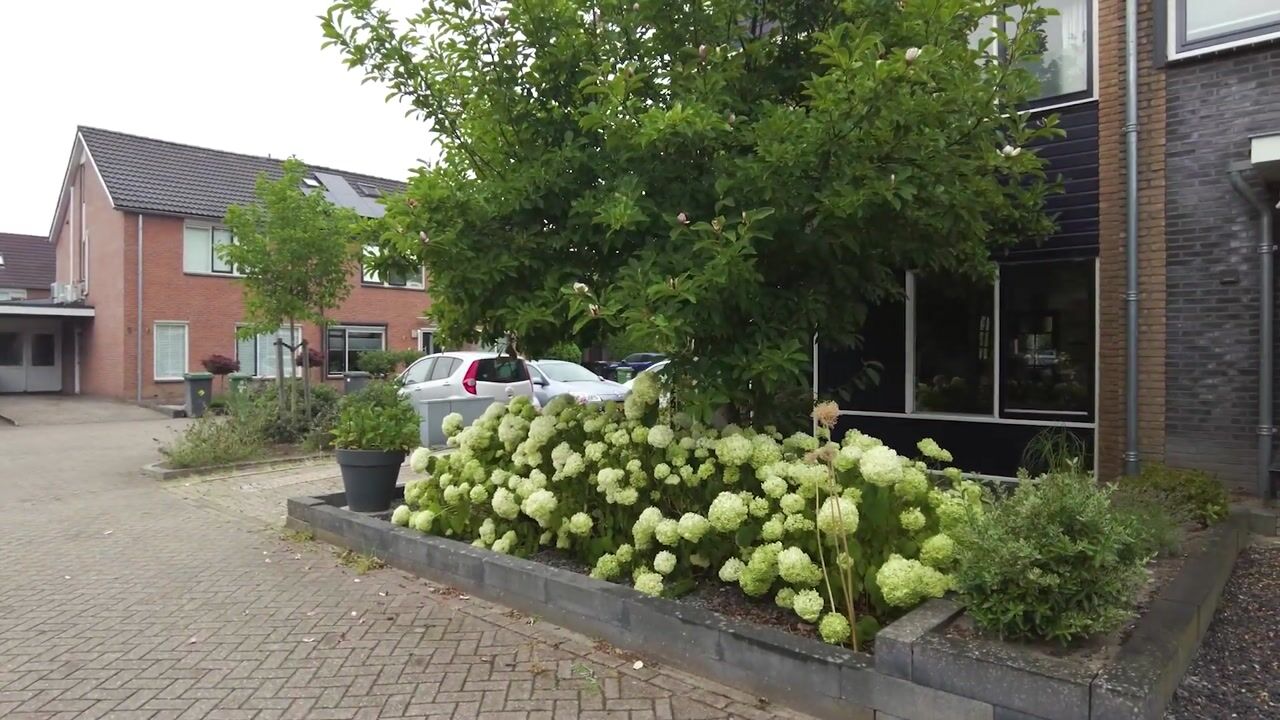 Video van De Wipstaart 2
