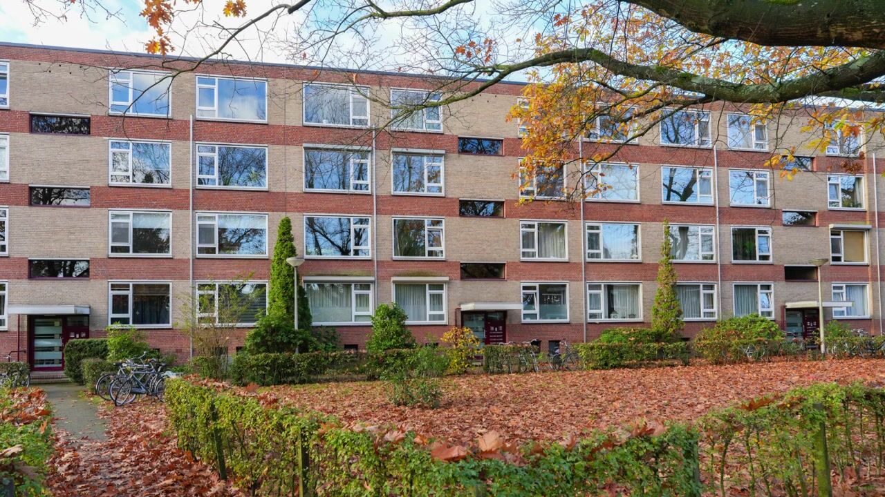 Video van Oude Molenweg 275