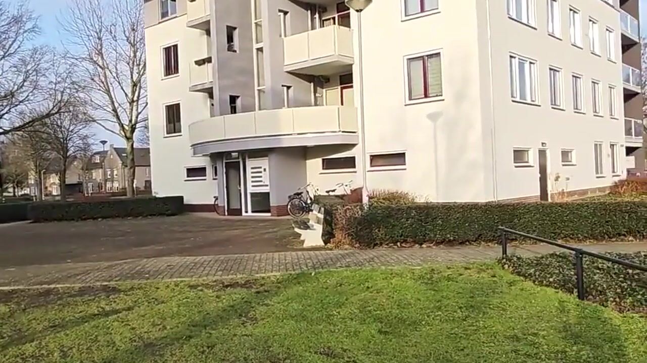Video of Zwaluwstraat 81