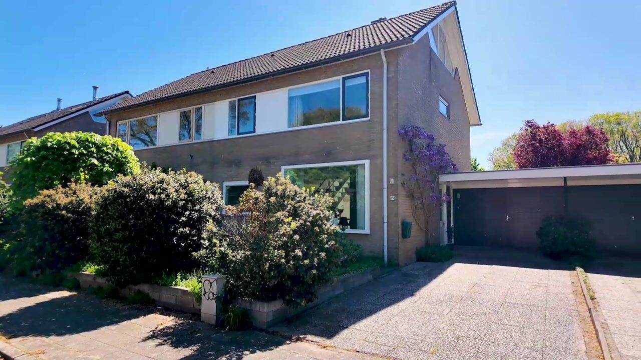 Video van Wandscheerstraat 19