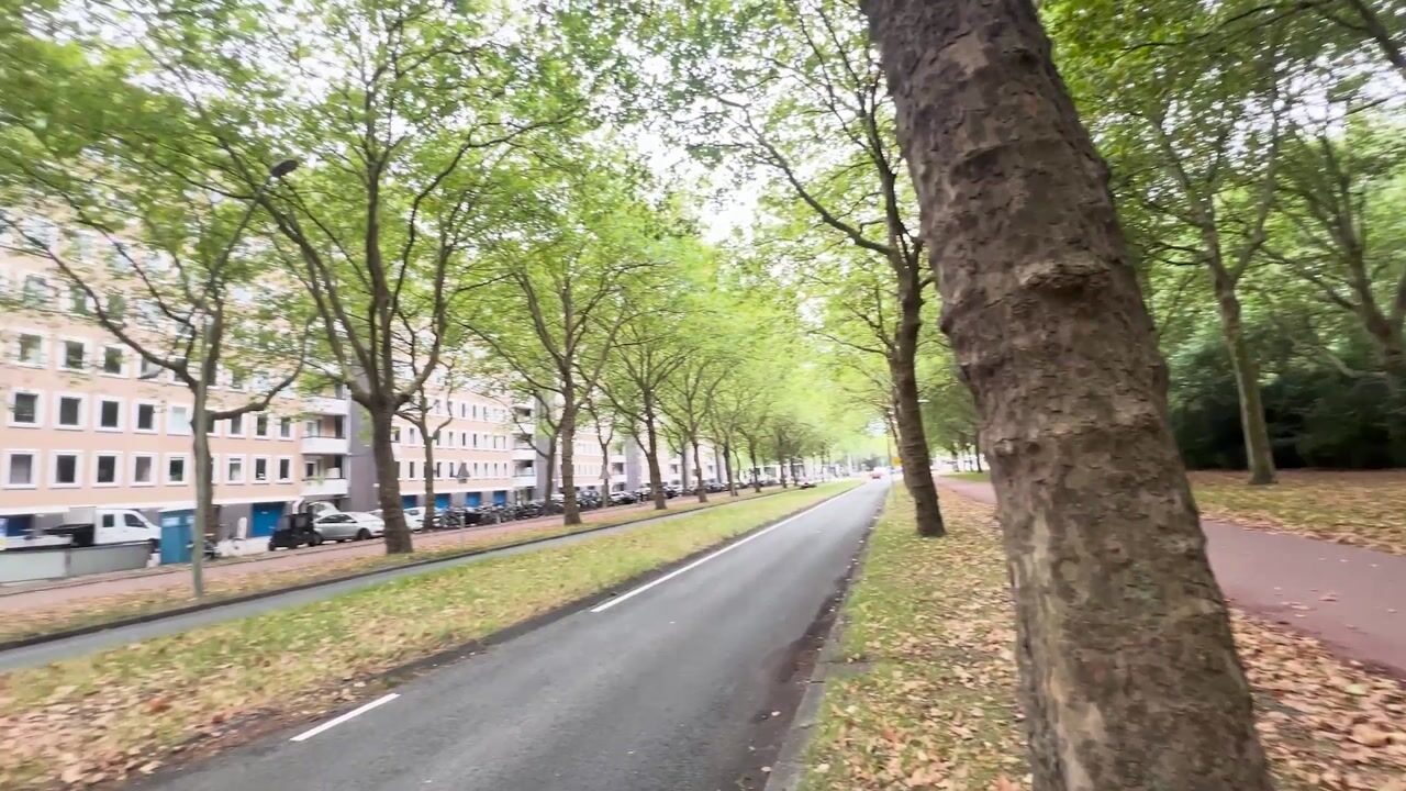 Video van Van Nijenrodeweg 668