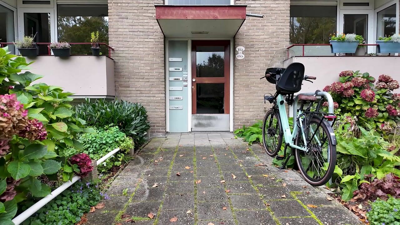 Video van Helperzoom 185