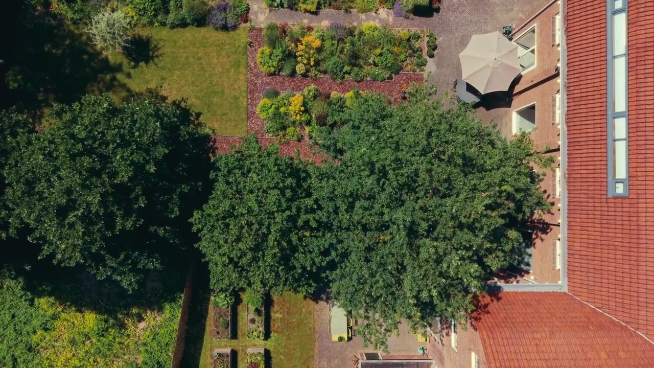 Video van Holleweg 100