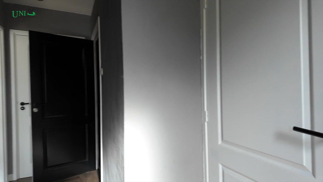 Video of Jhr. M.W.C. de Jongestraat 4