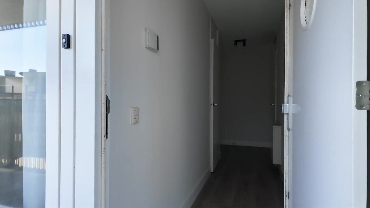 Video van Palaceplein 111