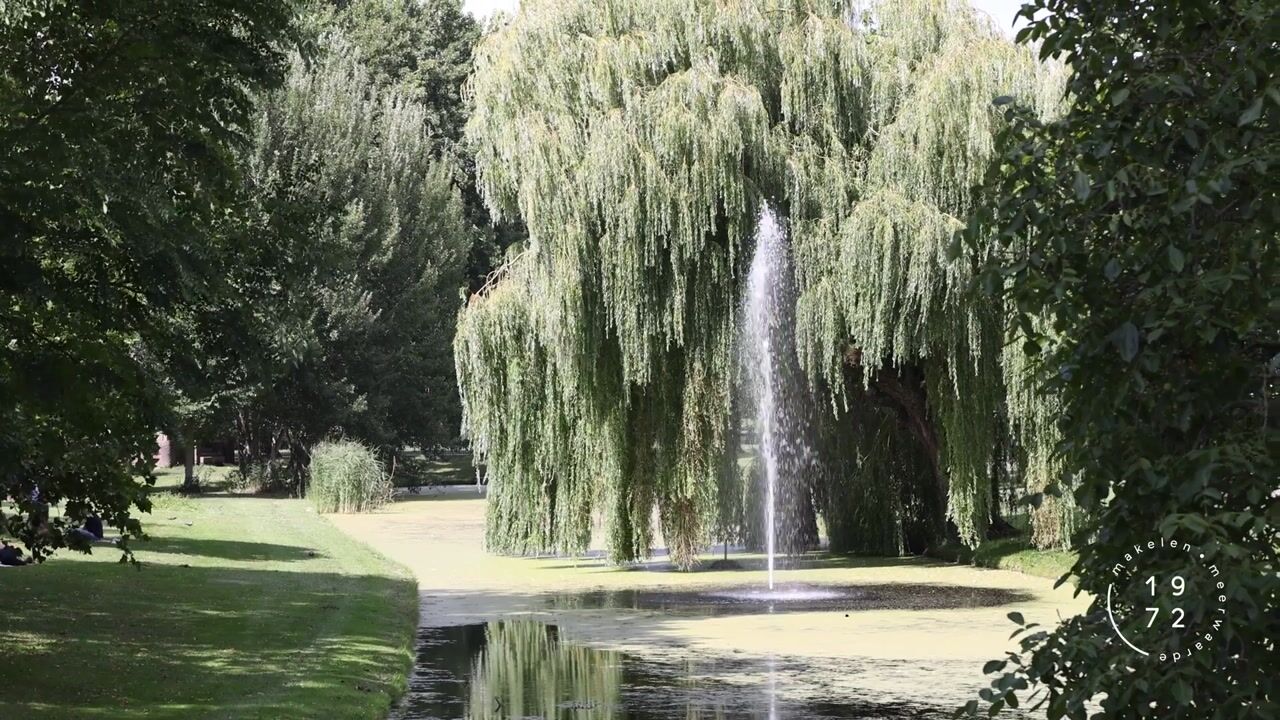 Video van Heemraadssingel 174