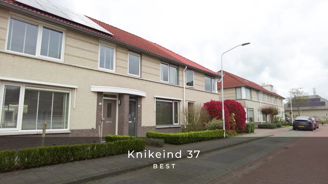 Video of Knikeind 37