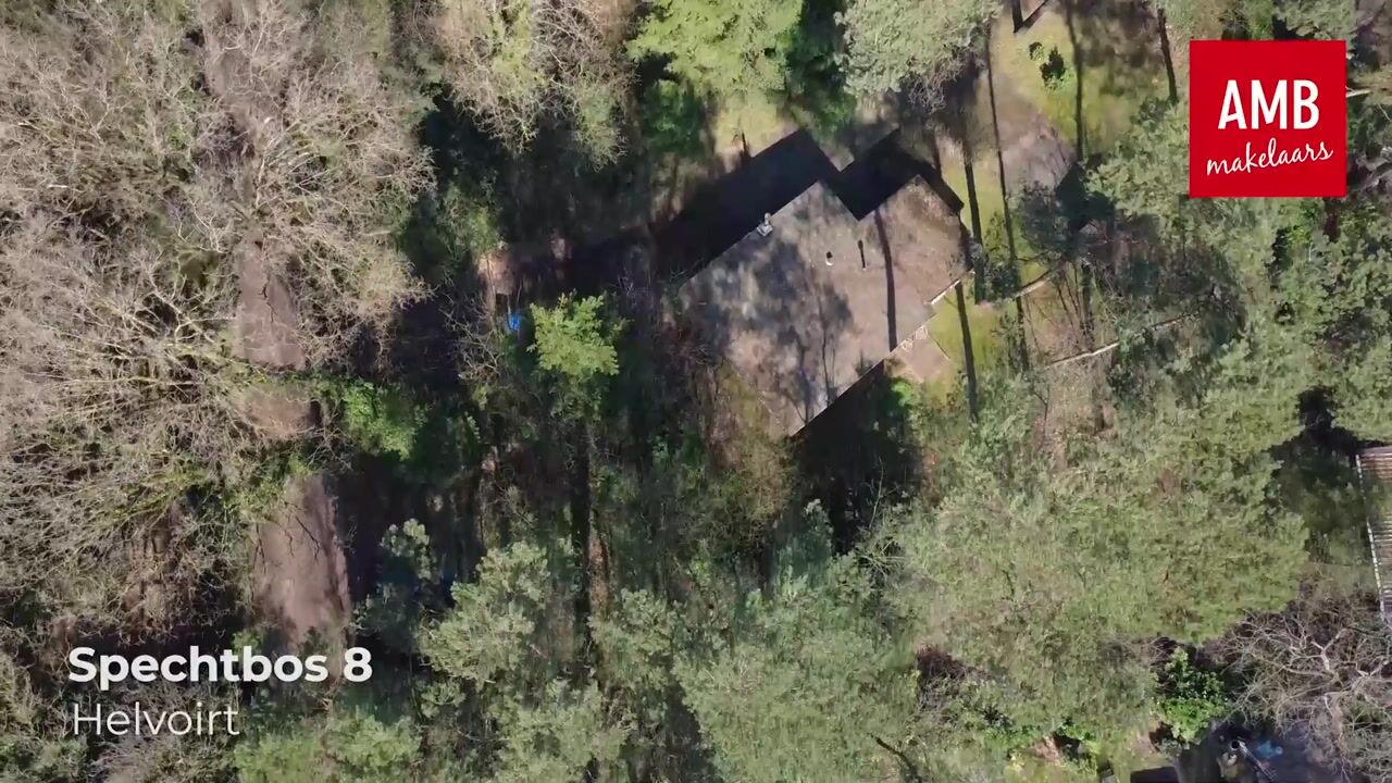 Video van Spechtbos 8