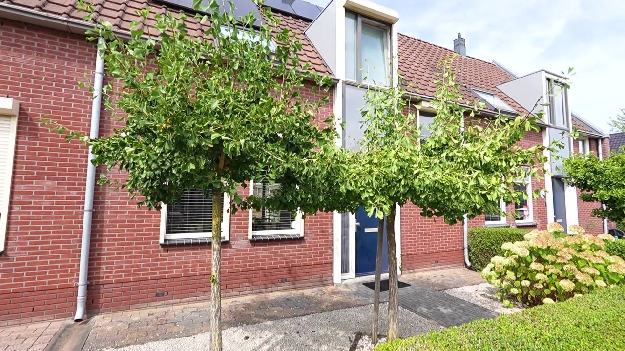 Video van Vlaanderen 13