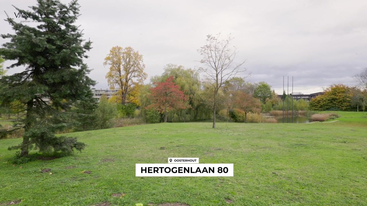 Video van Hertogenlaan 80