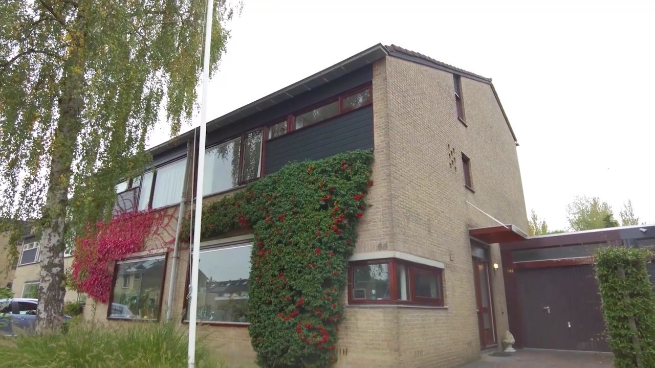 Video of Abeelstraat 65