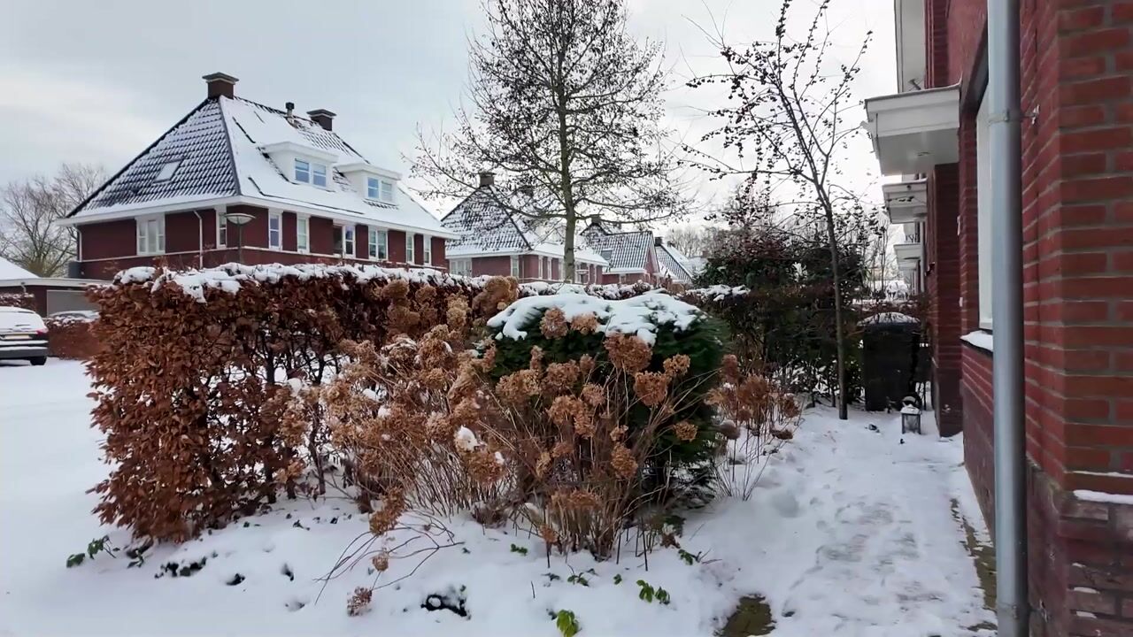 Video van Avemoerscampe 26