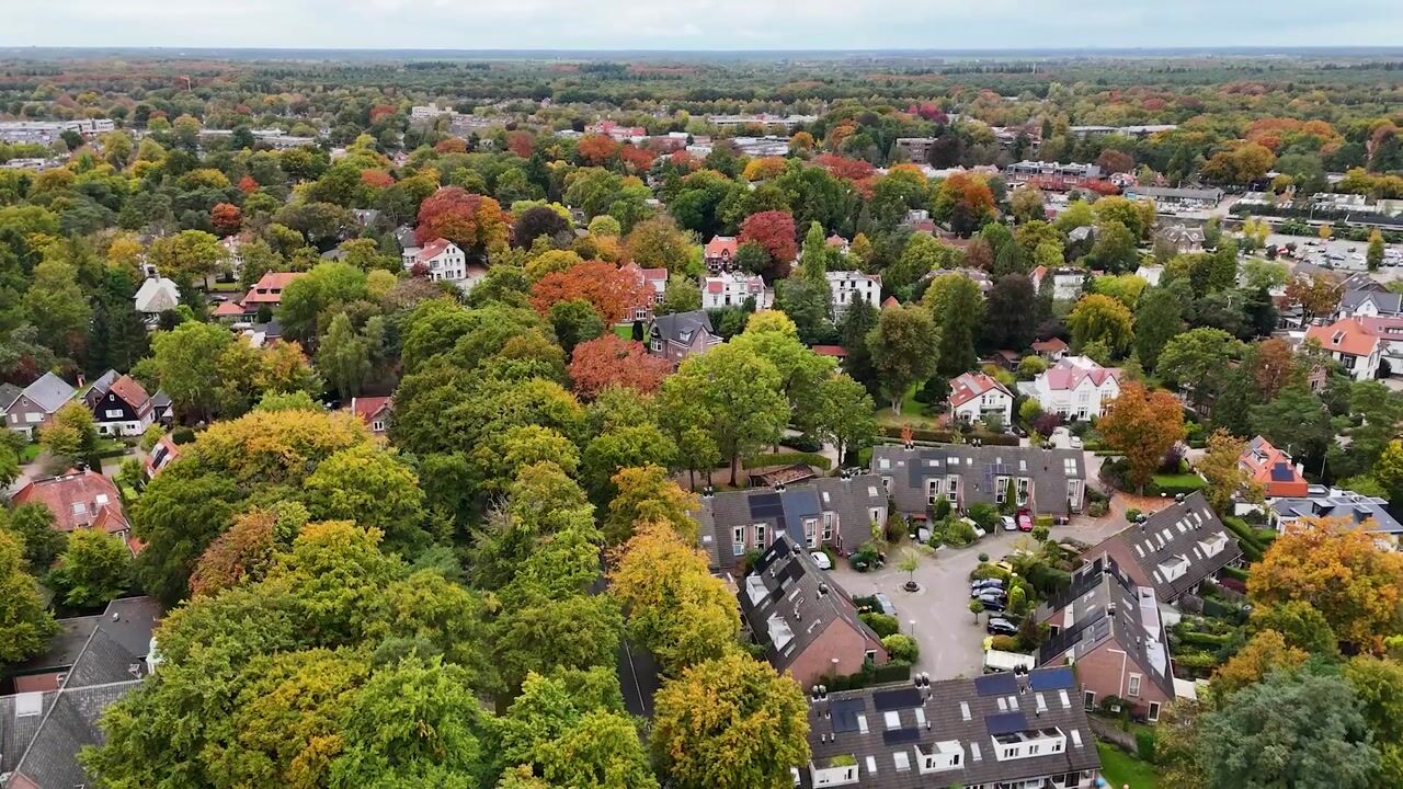 Video of Plein Vogelzang 19