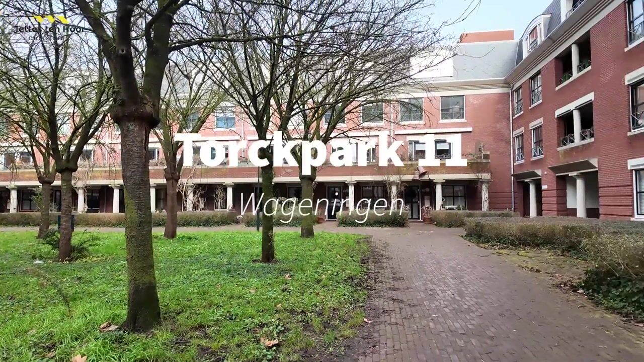 Video van Torckpark 11
