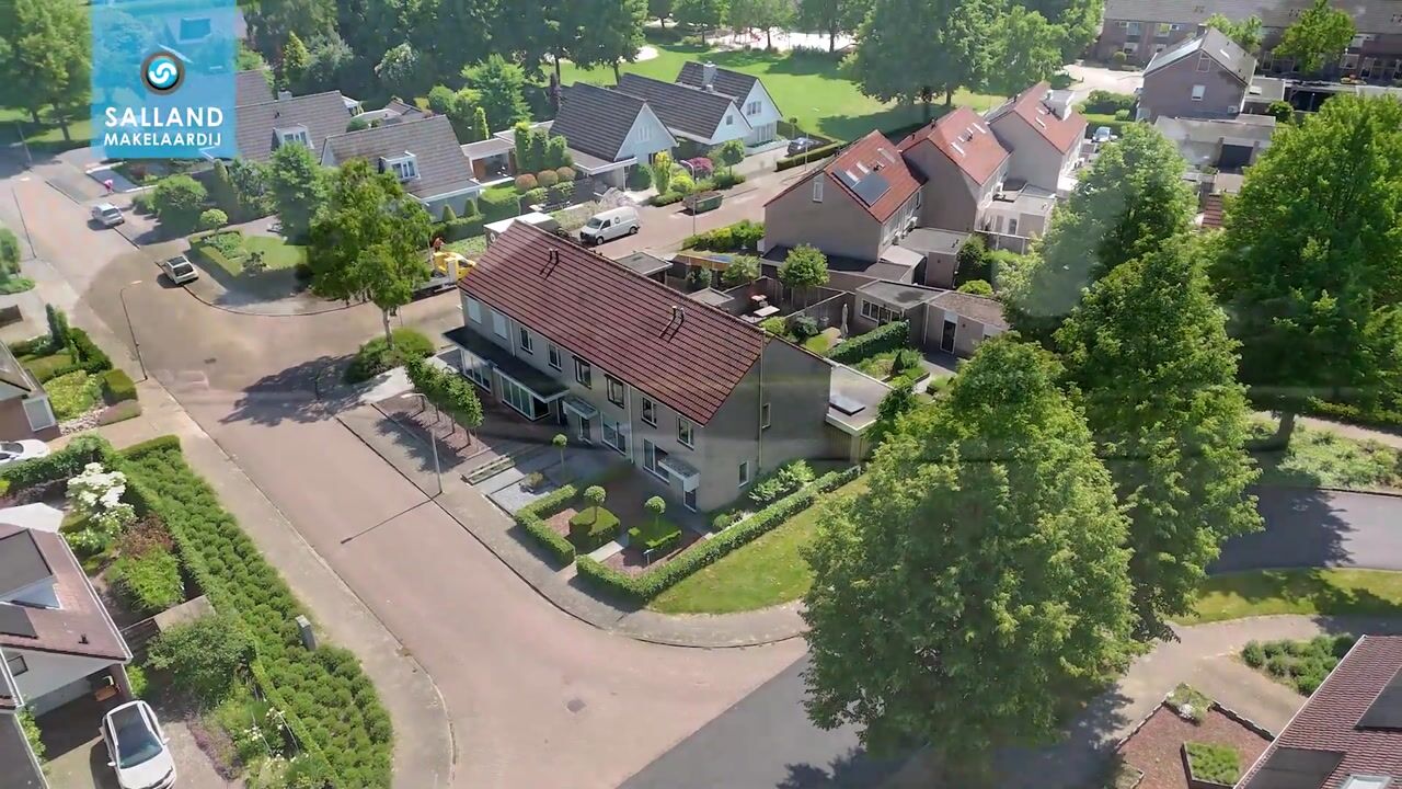 Video van Buizerd 13