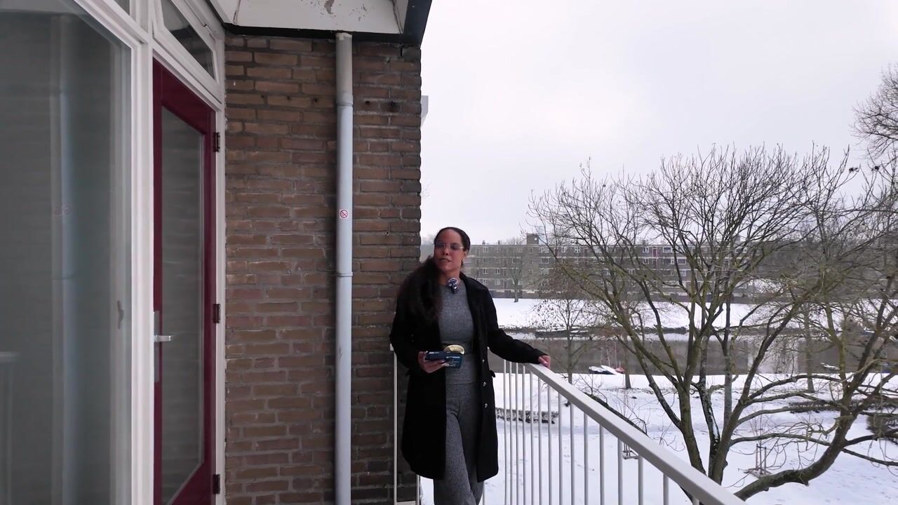 Video van van Beresteynstraat 109