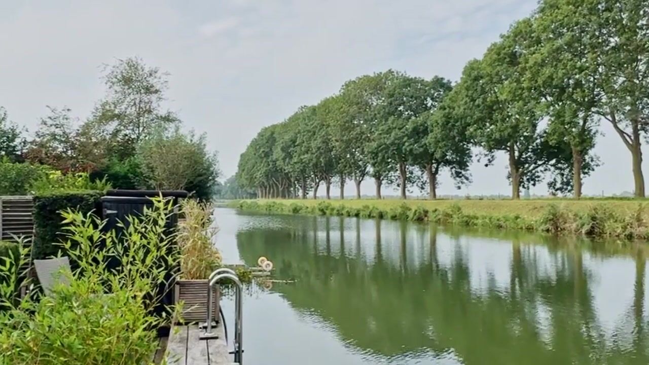 Video van Westeinde 49