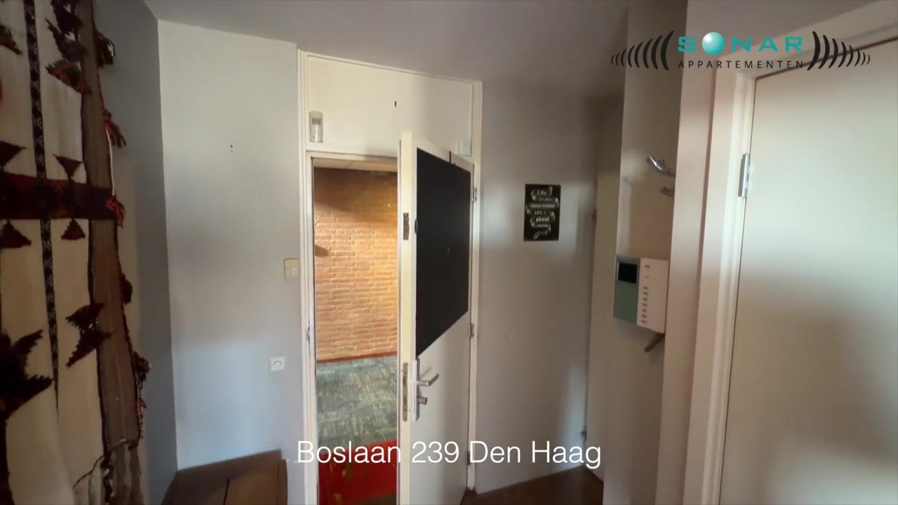 Video van Boslaan 239