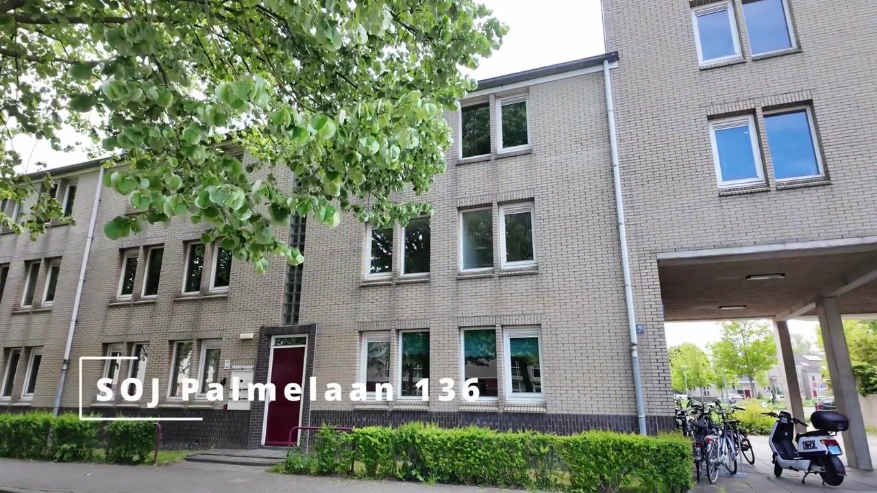 Video van S.O.J. Palmelaan 136