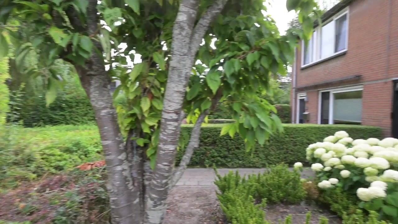 Video van Zwaluwstraat 35
